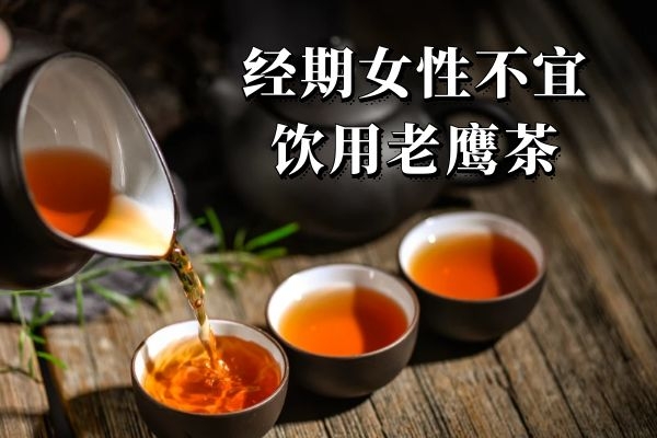 老鹰茶的功效与作用及禁忌有哪些?