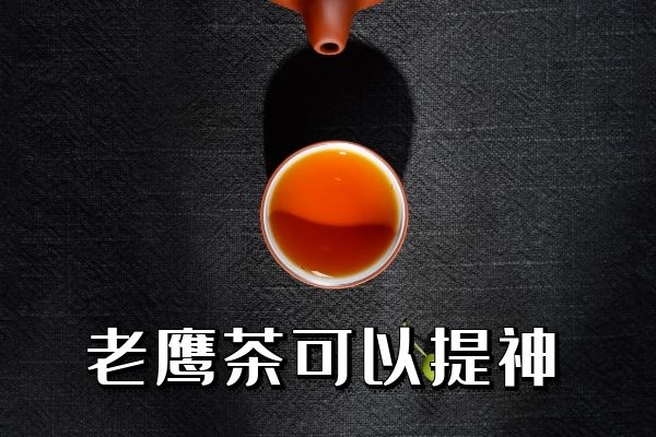 老鹰茶的功效与作用及禁忌有哪些?