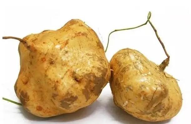 豆薯怎么吃?吃豆薯有什么好处?
