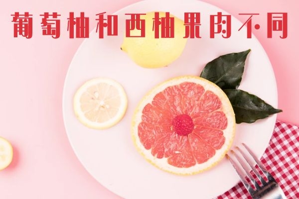 葡萄柚和西柚的区别有哪些？两者的不同之处有这几个