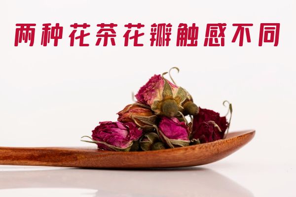 月季花茶和玫瑰花茶的区别有哪些?