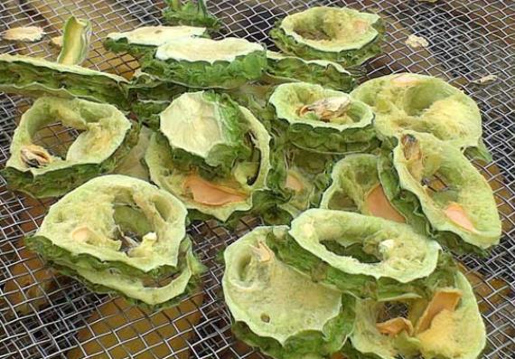 苦瓜茶可以降血糖吗 植物胰岛素 改善胰腺功能