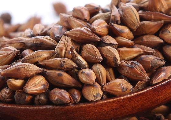 荞麦茶哺乳期可以喝吗 维生素B6影响奶汁分泌 忌过量