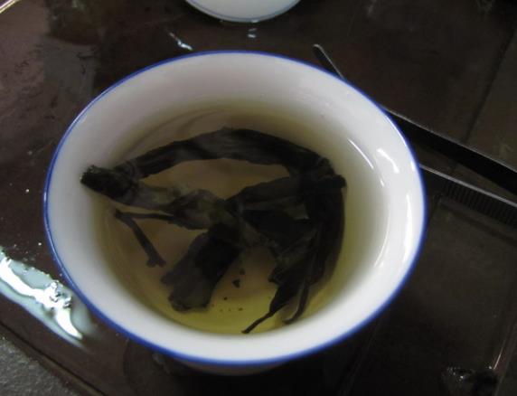 孕妇可以喝苦丁茶吗