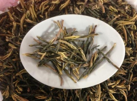 苦丁茶能降血压吗 降低血清总胆固醇 甘油三酯