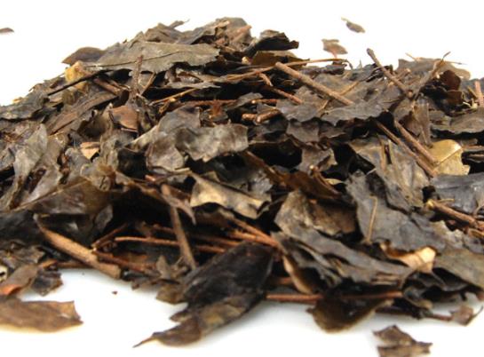 苦丁茶有什么作用 清热消暑 明目益智 生津止渴 利尿强心
