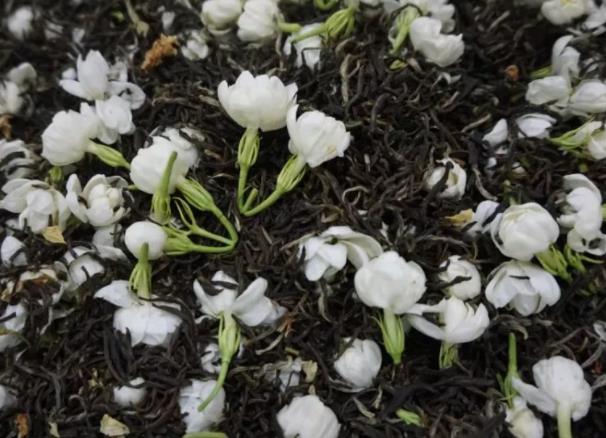喝茉莉花茶会上火吗