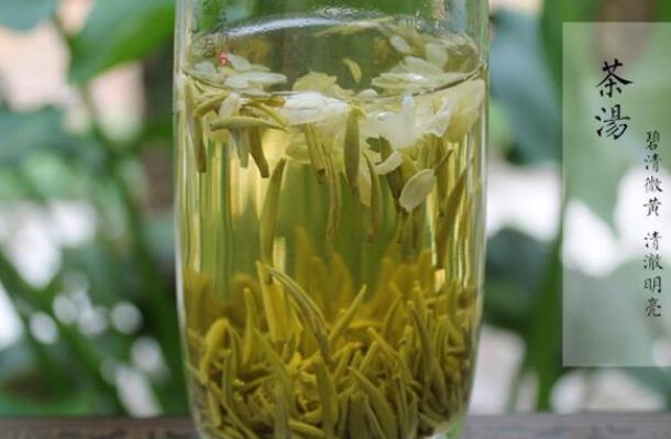 茉莉花茶是绿茶还是红茶 