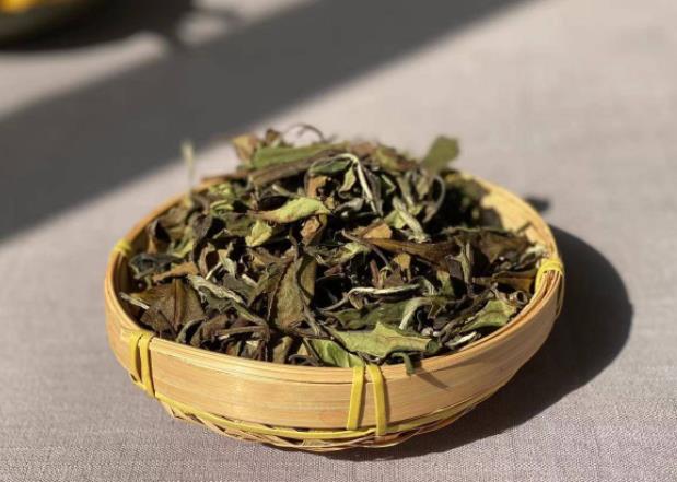 喝老白茶过量会醉吗