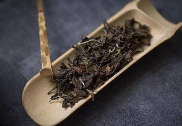 喝老白茶的危害有哪些