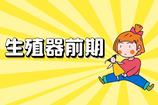 生殖器前期