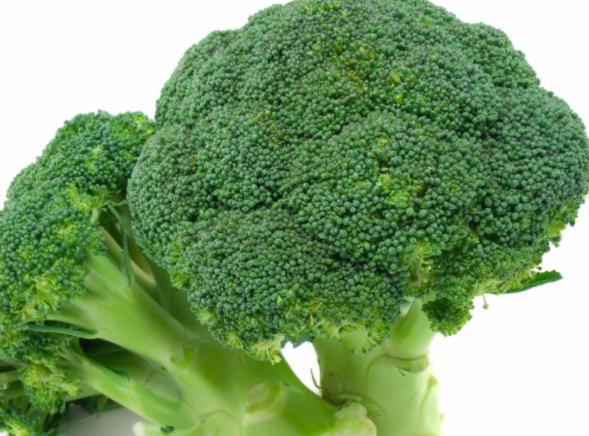 吃西蓝花会发胖吗 热量低 膳食纤维润肠通便 降低胆固醇