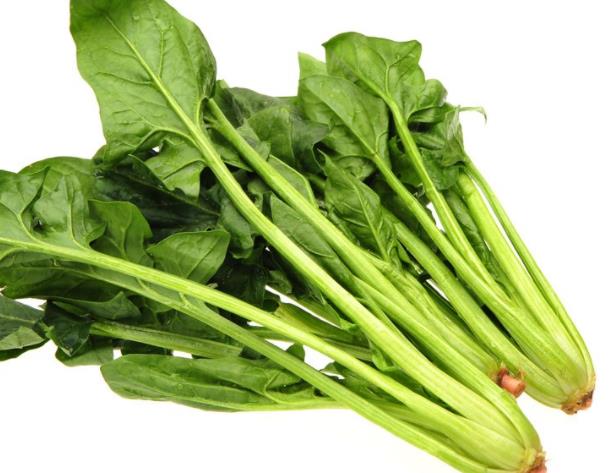 吃菠菜注意什么 需沸水烫软 避免吃黄豆豆腐