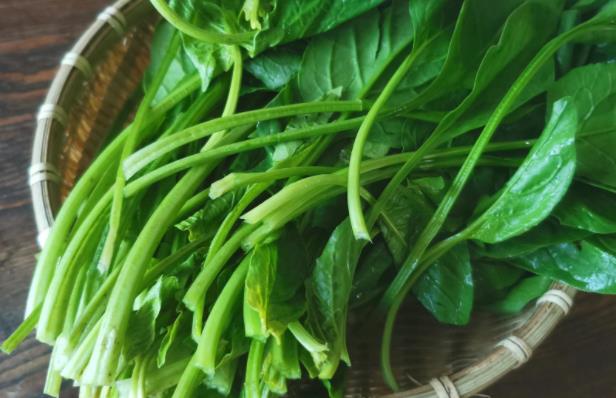 孕妇可以吃菠菜吗 适量吃补充营养 需热水焯