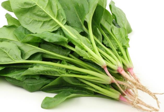 孕妇可以吃菠菜吗 适量吃补充营养 需热水焯