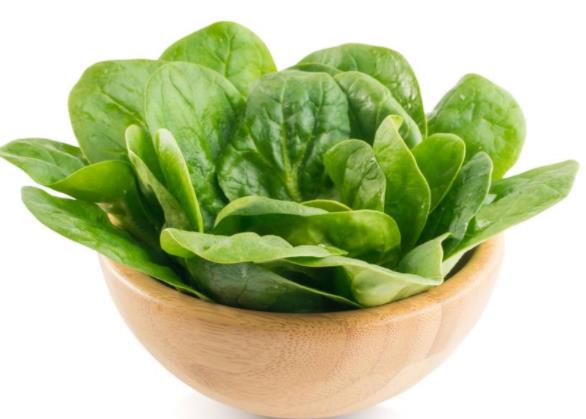 菠菜是凉性还是热性 凉性 粗纤维含量低 营养价值高