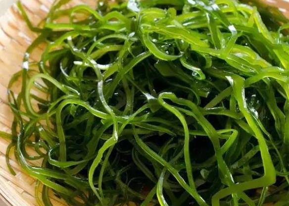 海带的功效与作用