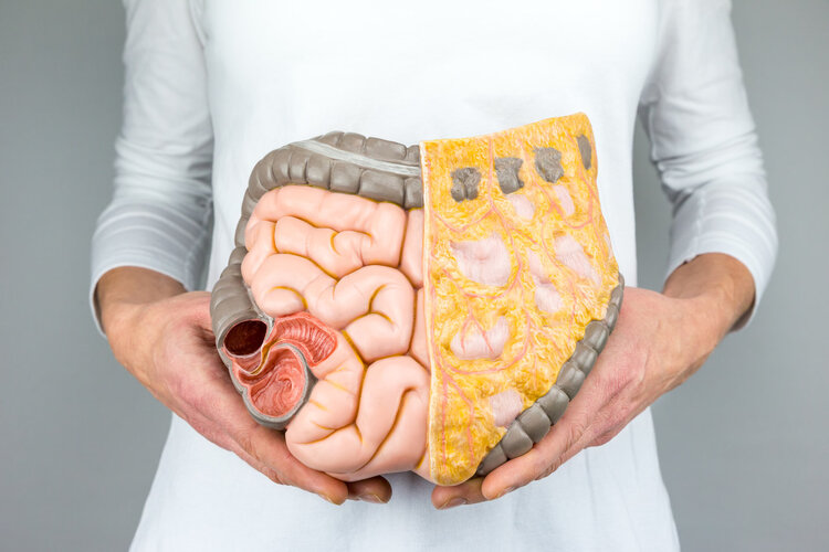为什么拉肚子腹部会翻江倒海的痛?秋天是腹泻高发期,牢记3点