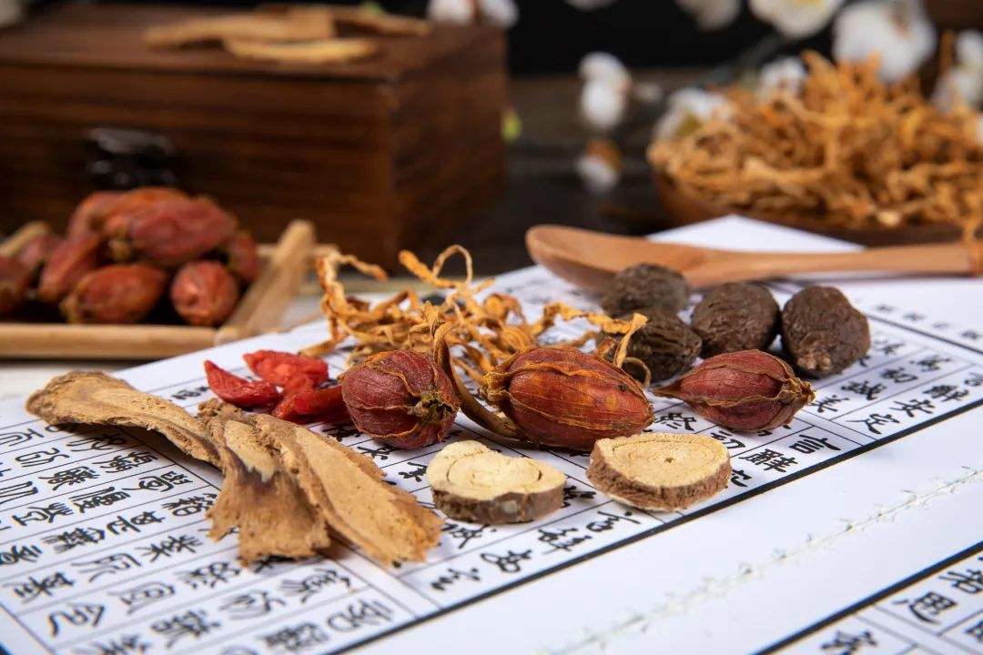 食物与性能力