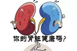 肾气不足怎么办？你的肾脏健康吗？