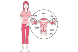 中医女性卵巢保养