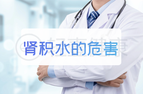 肾积水的危害有哪些？