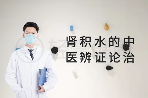 肾积水的中医辨证论治