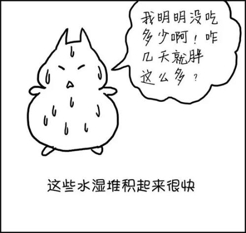 肥胖.jpg