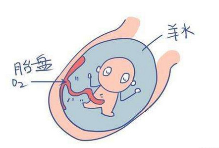 羊水少怎么办