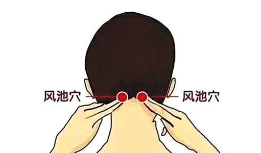 风池穴.jpg 风池穴.jpg