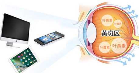 6F601716-C3D4-4d2a-BBE0-FE32055D2D94.png
