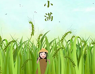 适合小满时节养生的食物