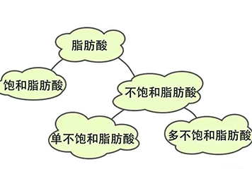 脂肪也有好有坏，好的脂肪可以保护心脏和全身健康哦