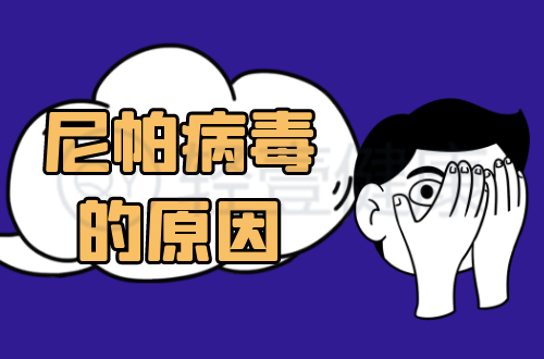 尼帕病毒的原因有哪些？
