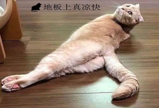 25.png 25.png