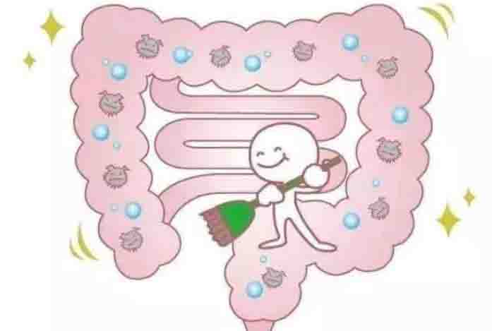 要如何维护肠道的健康？