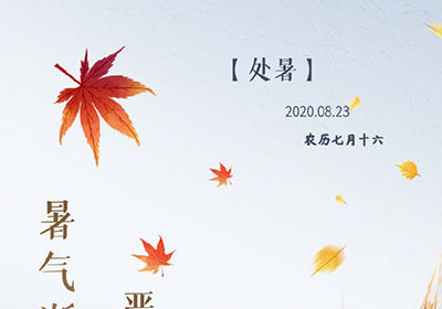 今日已是处暑，有什么要注意的呢？