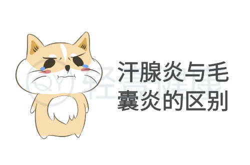 汗腺炎与毛囊炎的区别有哪些？两者有这些不同之处