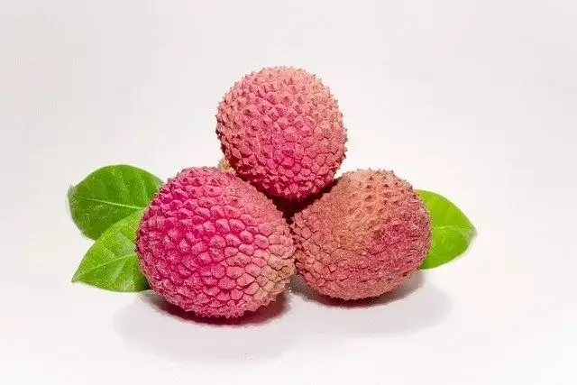 荔枝什么时候成熟?荔枝什么季节吃?