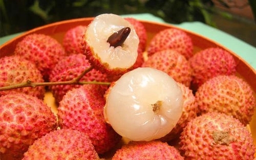 荔枝什么时候成熟?荔枝什么季节吃?