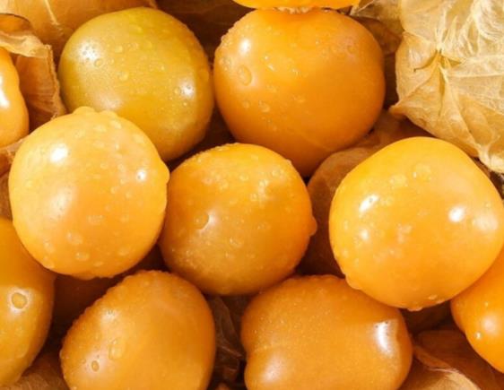 吃姑娘果会胖吗 高热量糖分多过量摄入发胖