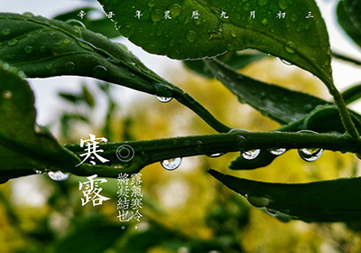 寒露节气已至，如何养生保健