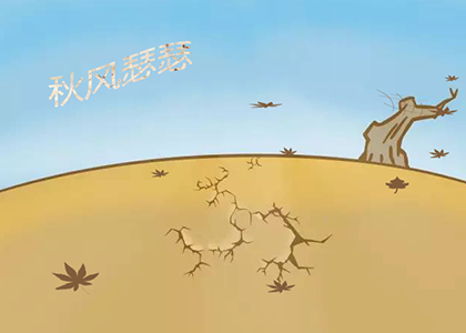 25.png