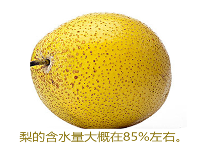 20.png
