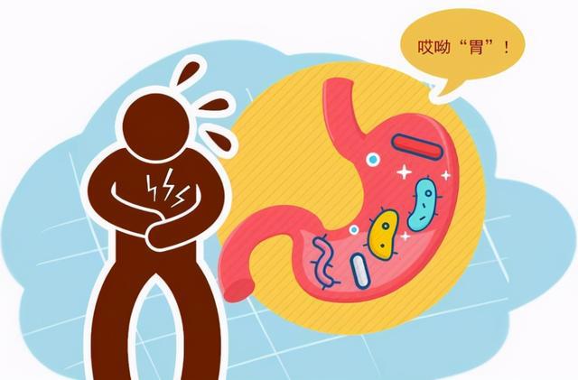 胃的大小可以随着进食量而变化？