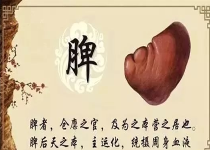 脾主运化.png 脾主运化.png