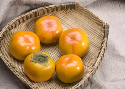 美味可口的柿子.png 美味可口的柿子.png