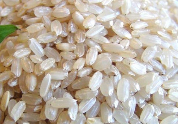 糙米饭和大米饭的区别 外观差异营养价值不同
