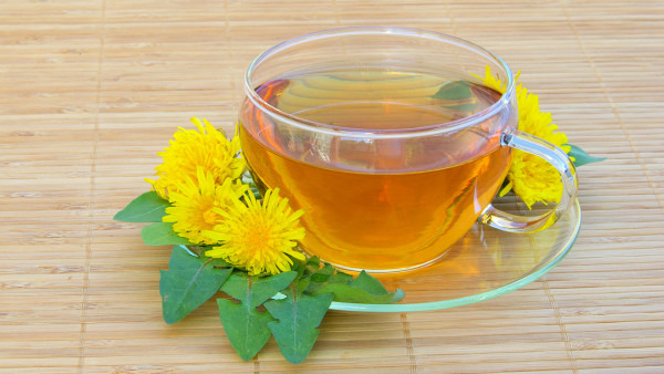 蒲公英茶的功效与作用有哪些