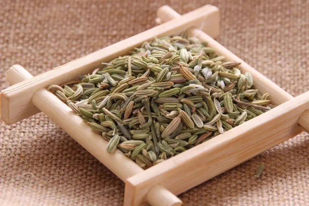 茴香的功效与作用